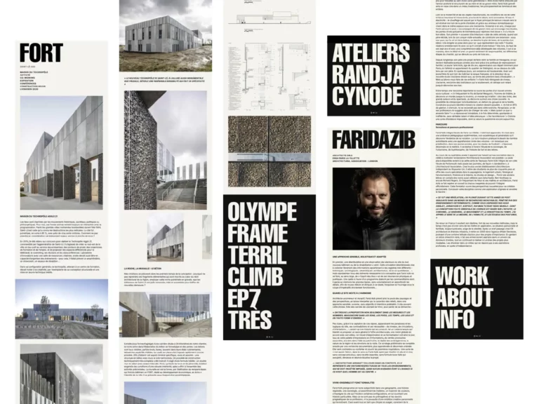 farid-azib-planche-web-matthieu-laporte