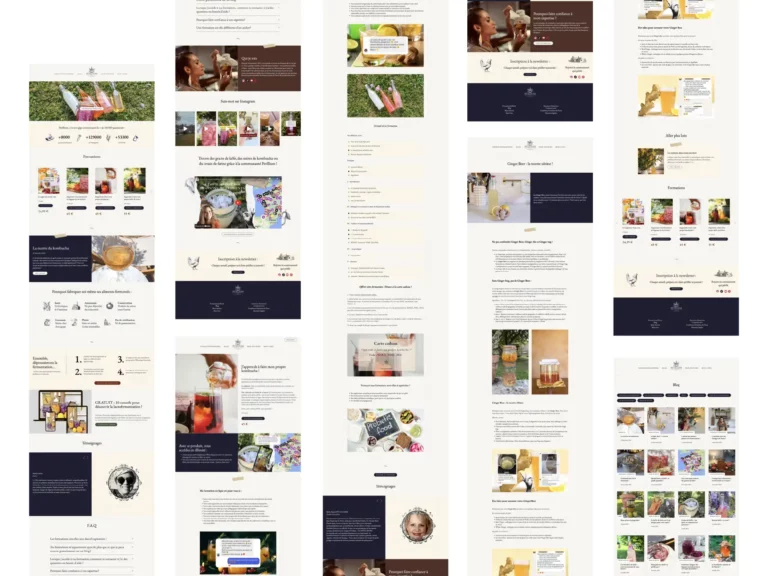 planche-petillium-matthieu-laporte