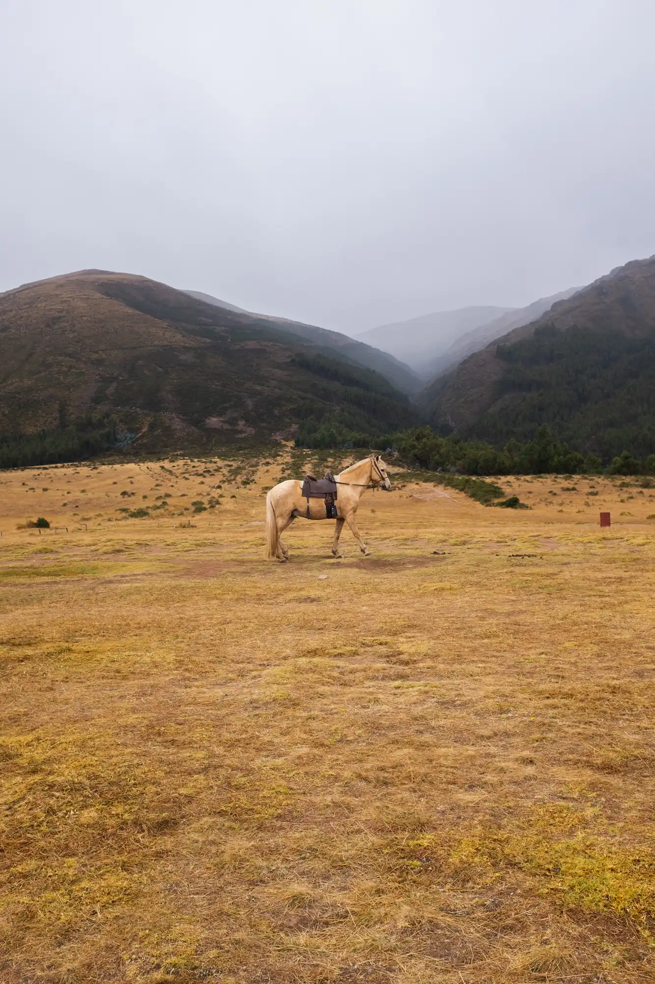 Pérou - Série photo