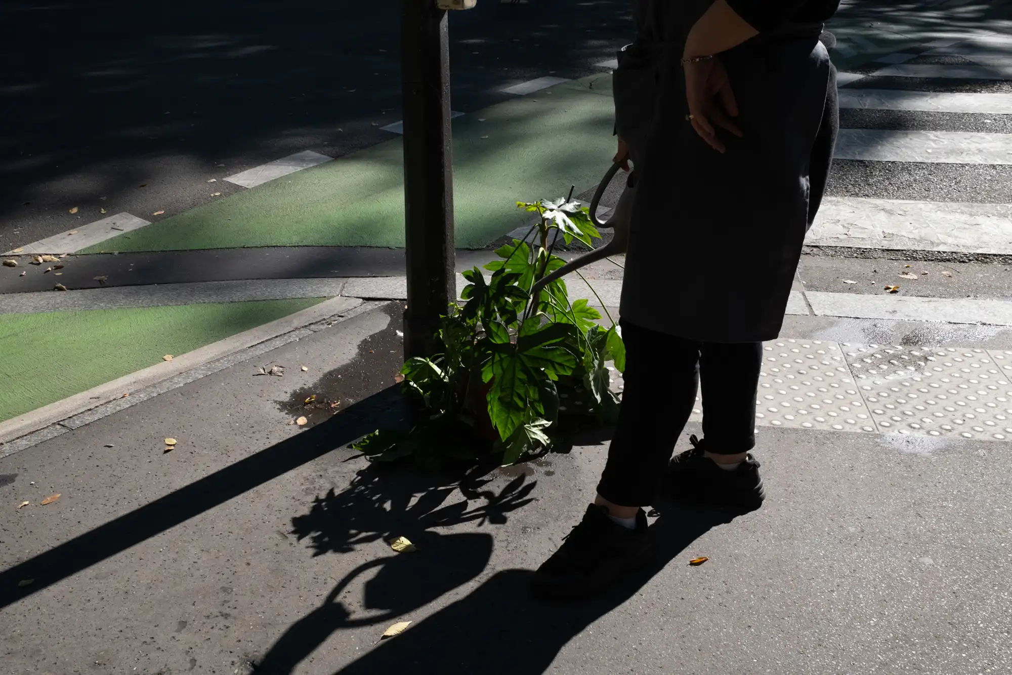 Septembre 2025 - Photos du quotidien