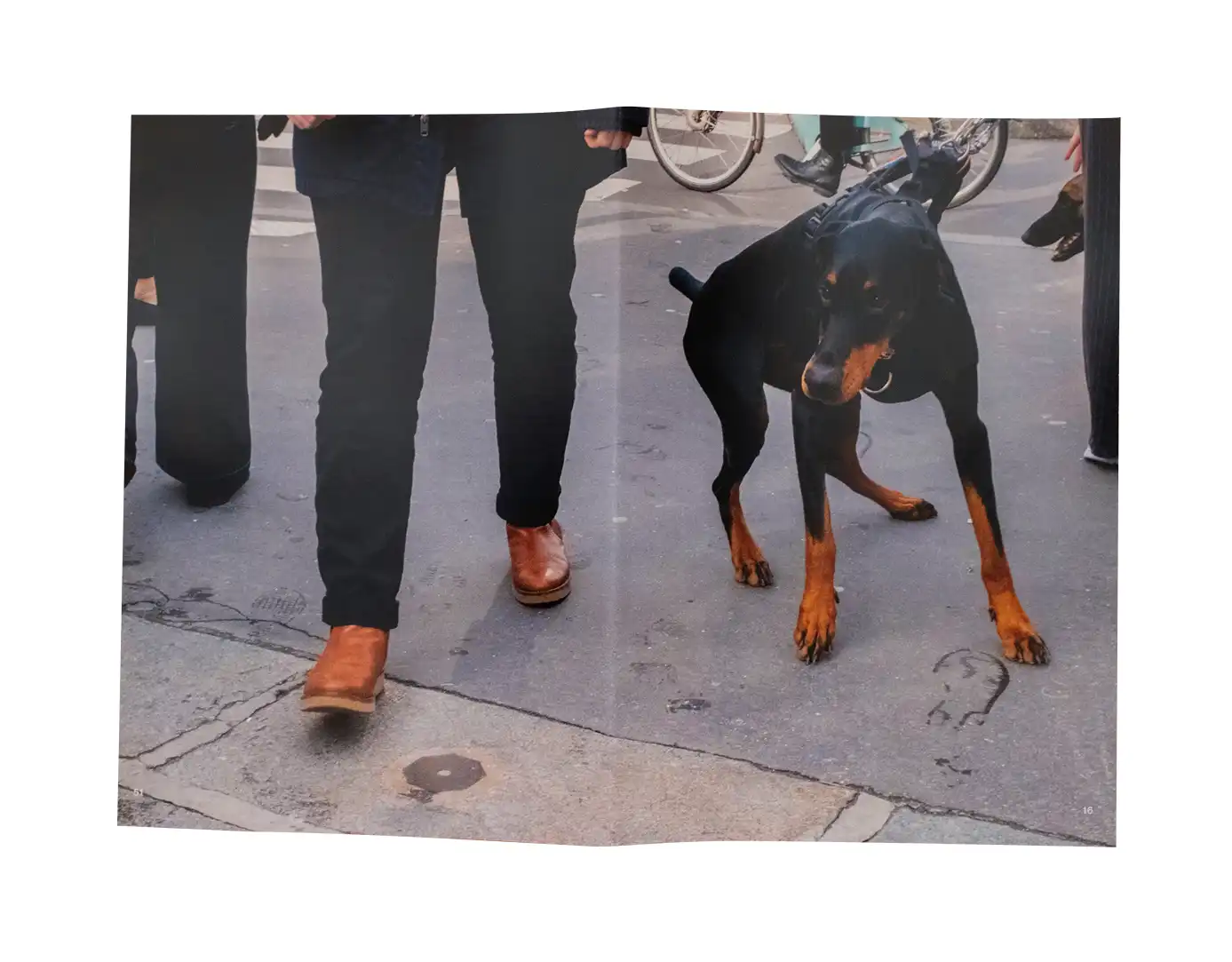 Shop > Dérive - Matthieu Laporte : Graphic designer - Photographer - Designer spécialisé dans la conception graphique, la création et le développement d’interfaces numériques, ainsi que dans la réalisation de photographies.