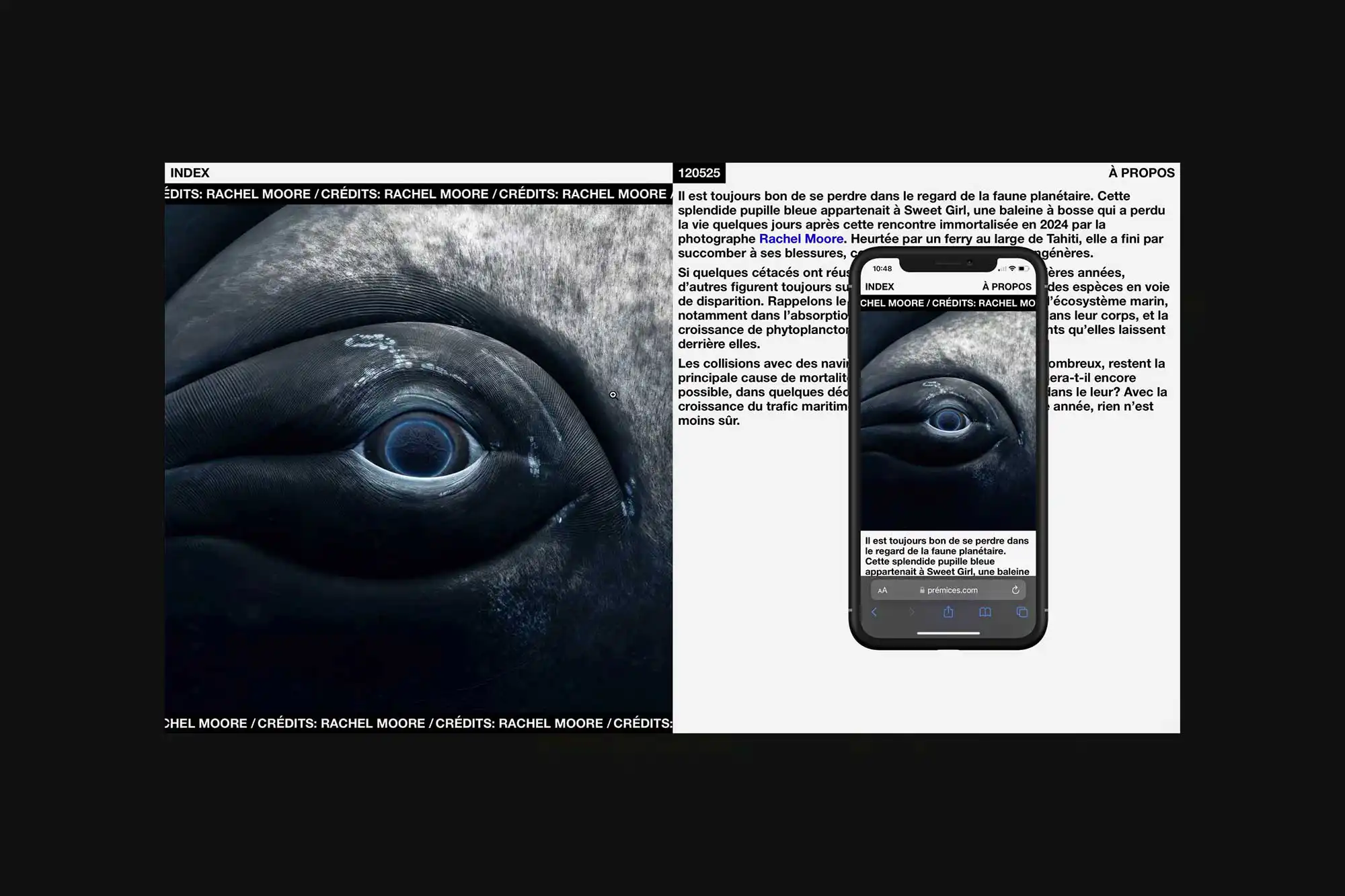 Prémices - Conseil et développement du site Web