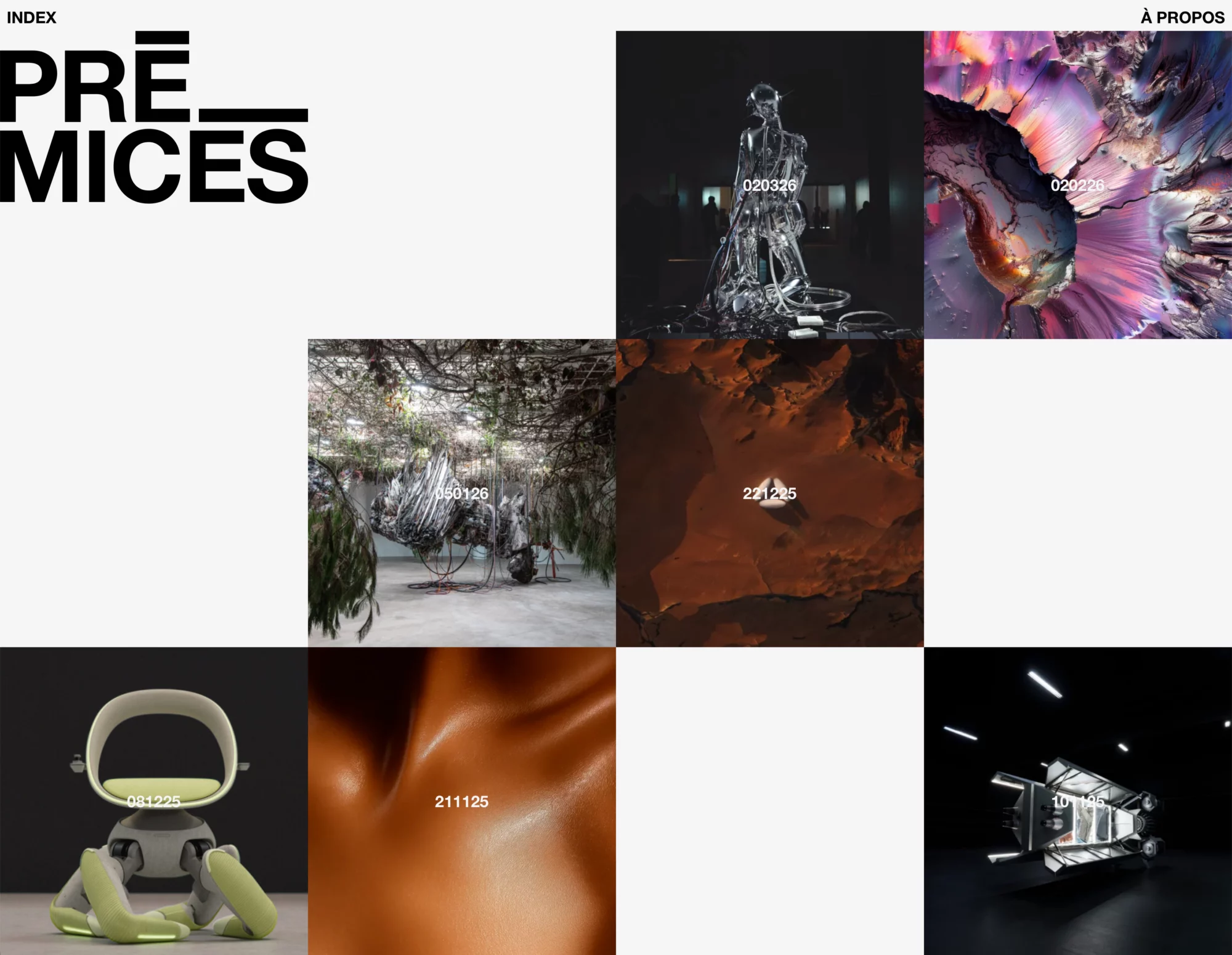 Prémices - Conseil et développement du site Web