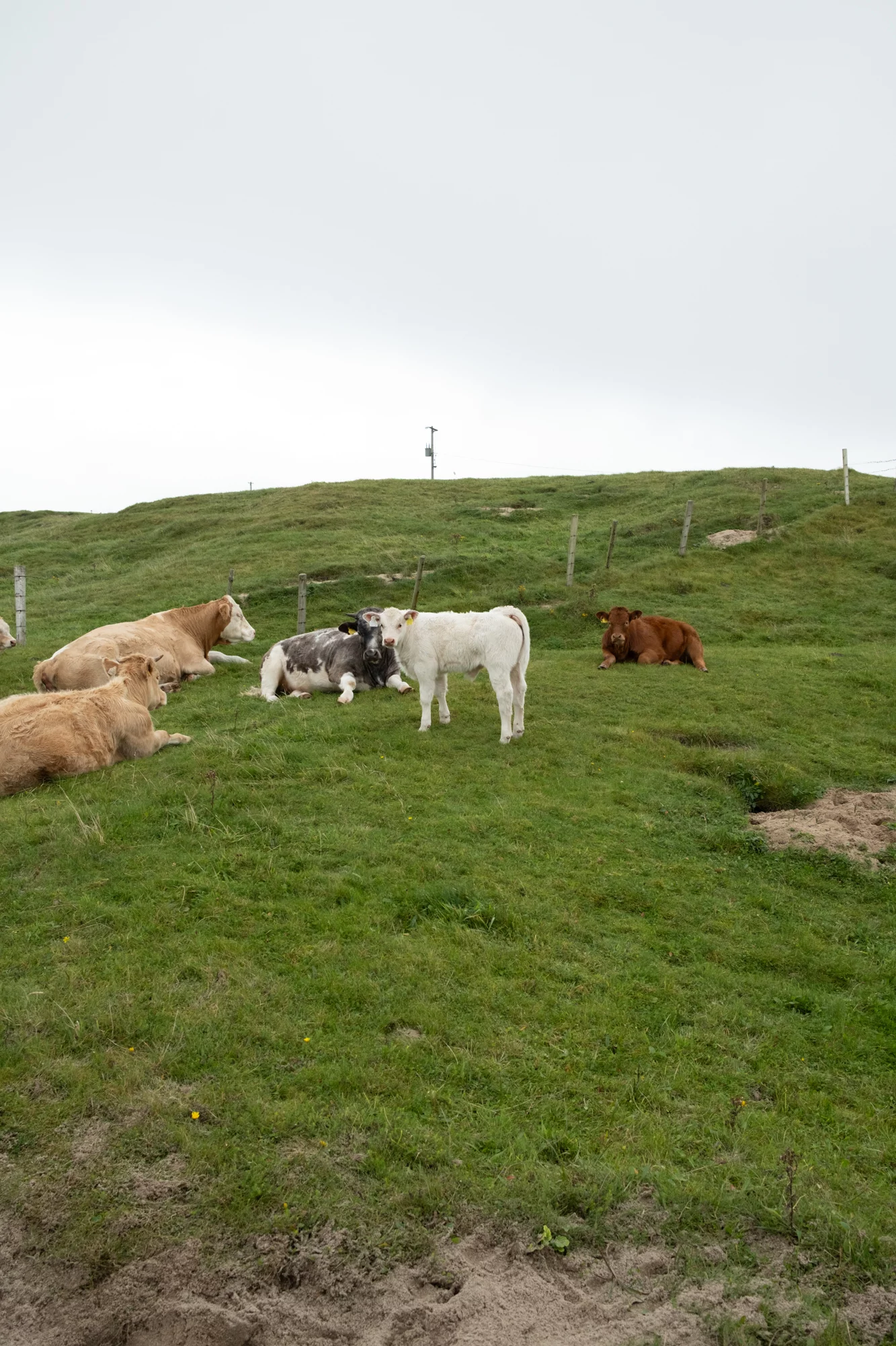 Destination Irlande Connemara