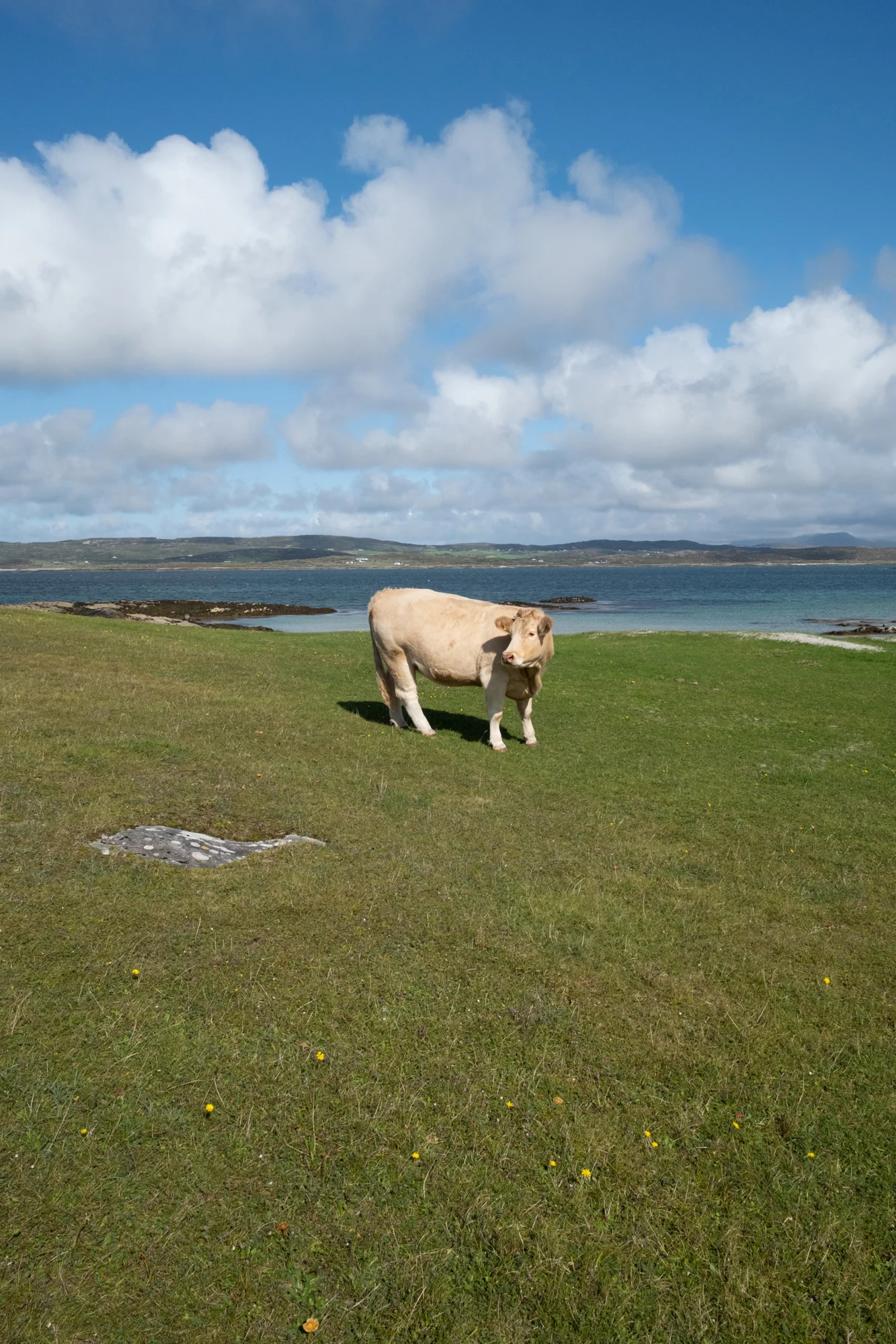 Destination Irlande Connemara