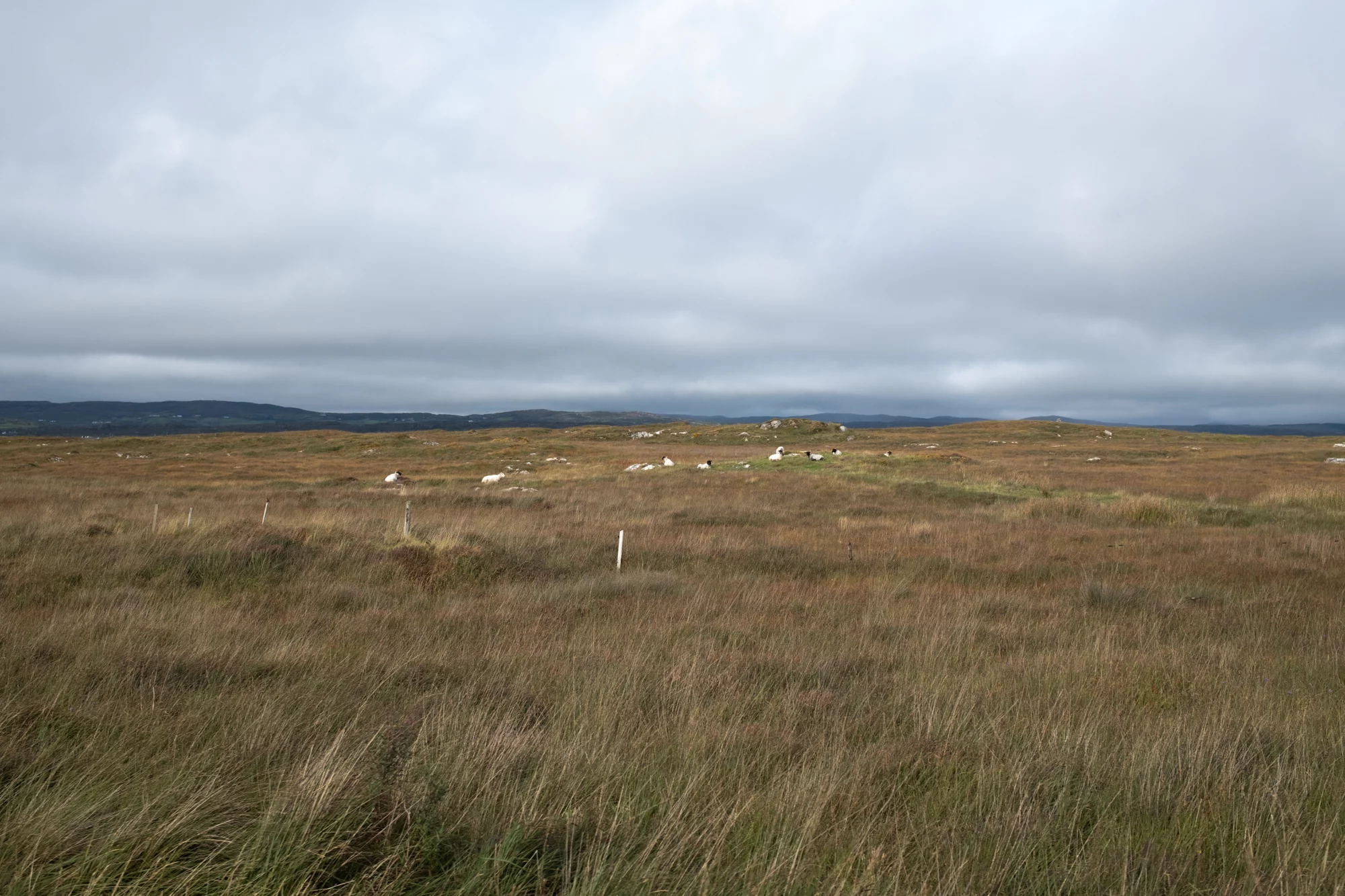 Destination Irlande Connemara