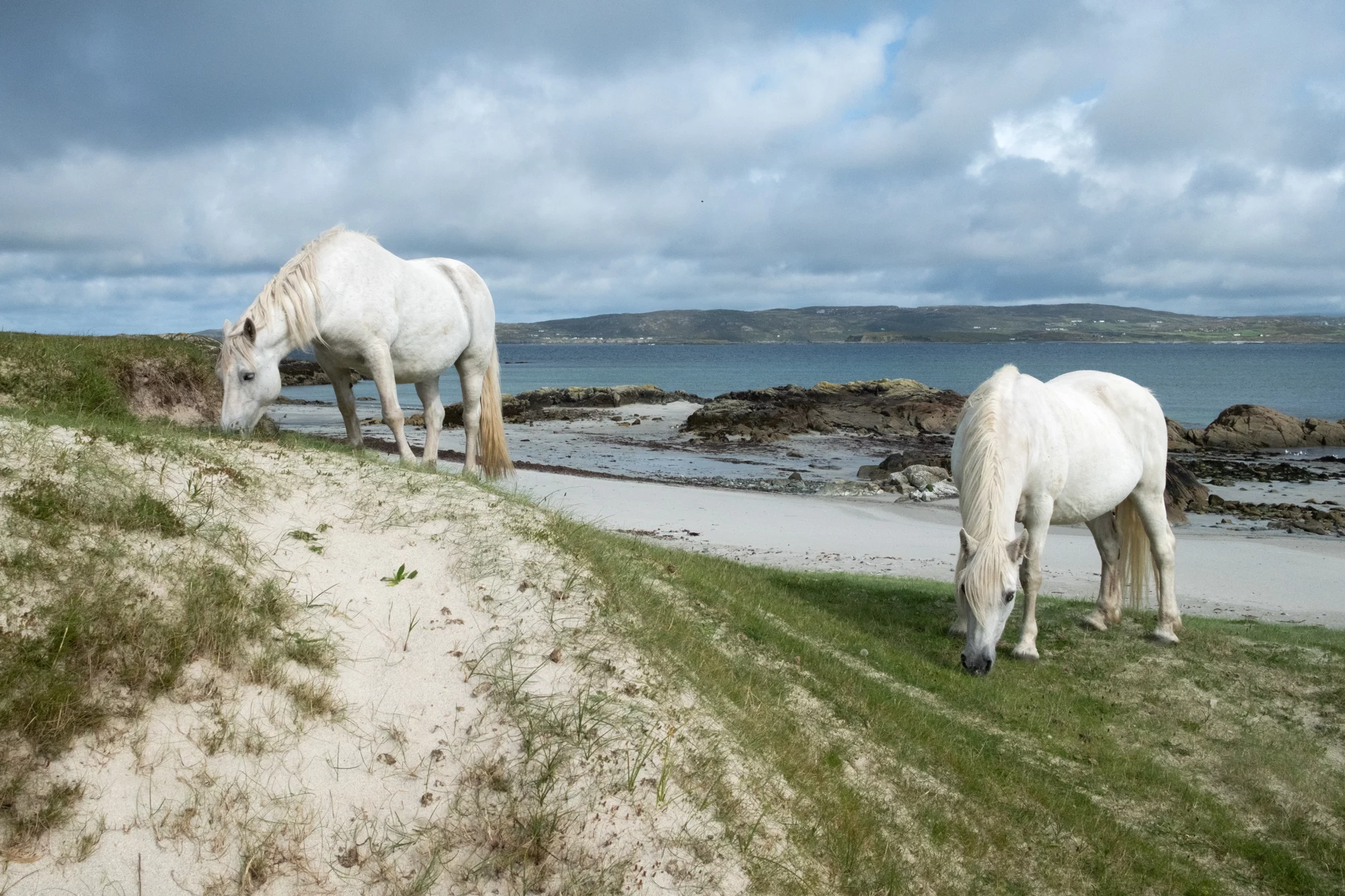 Destination Irlande Connemara